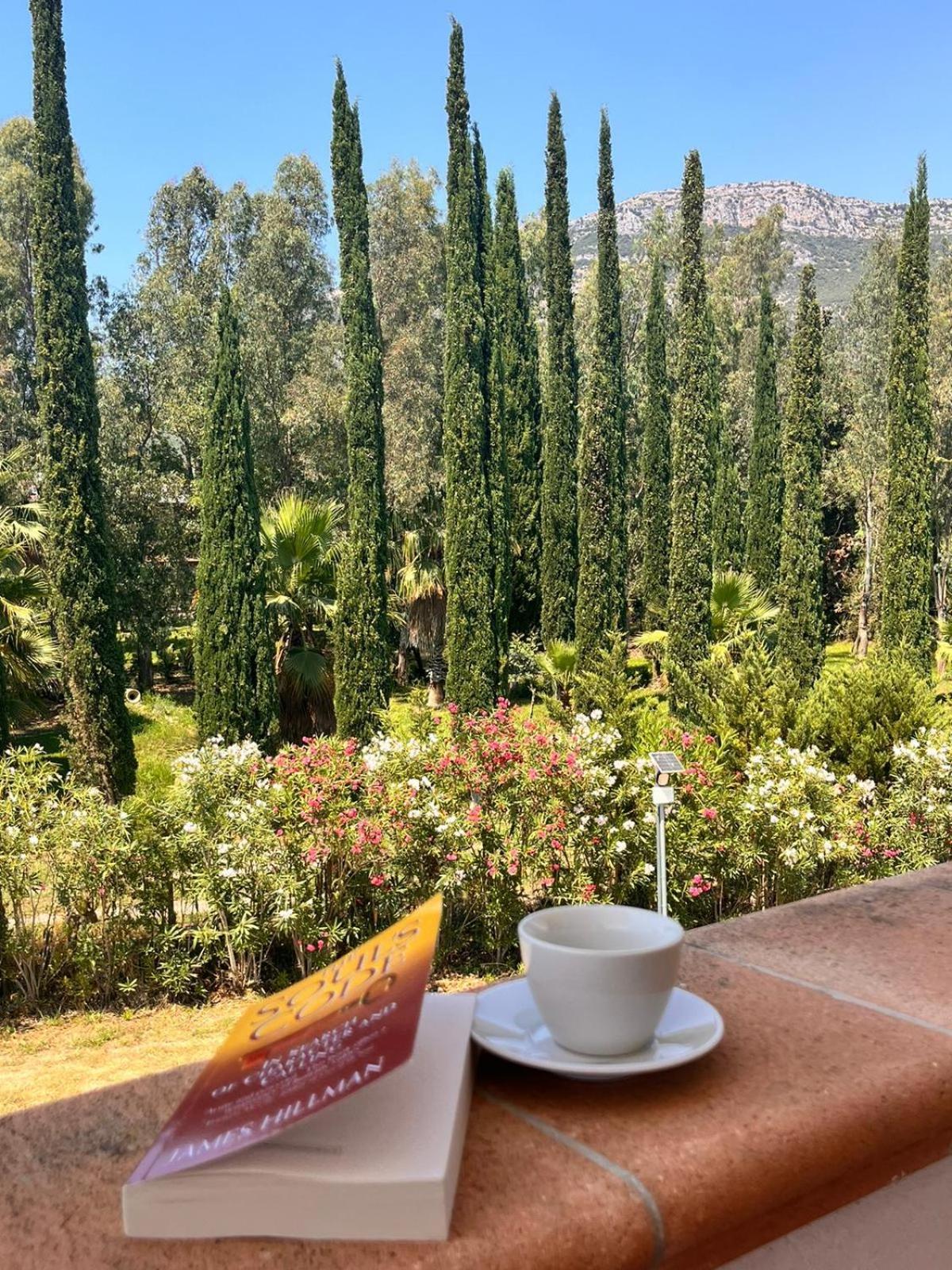 Villa Lia Cilento Capaccio Екстер'єр фото
